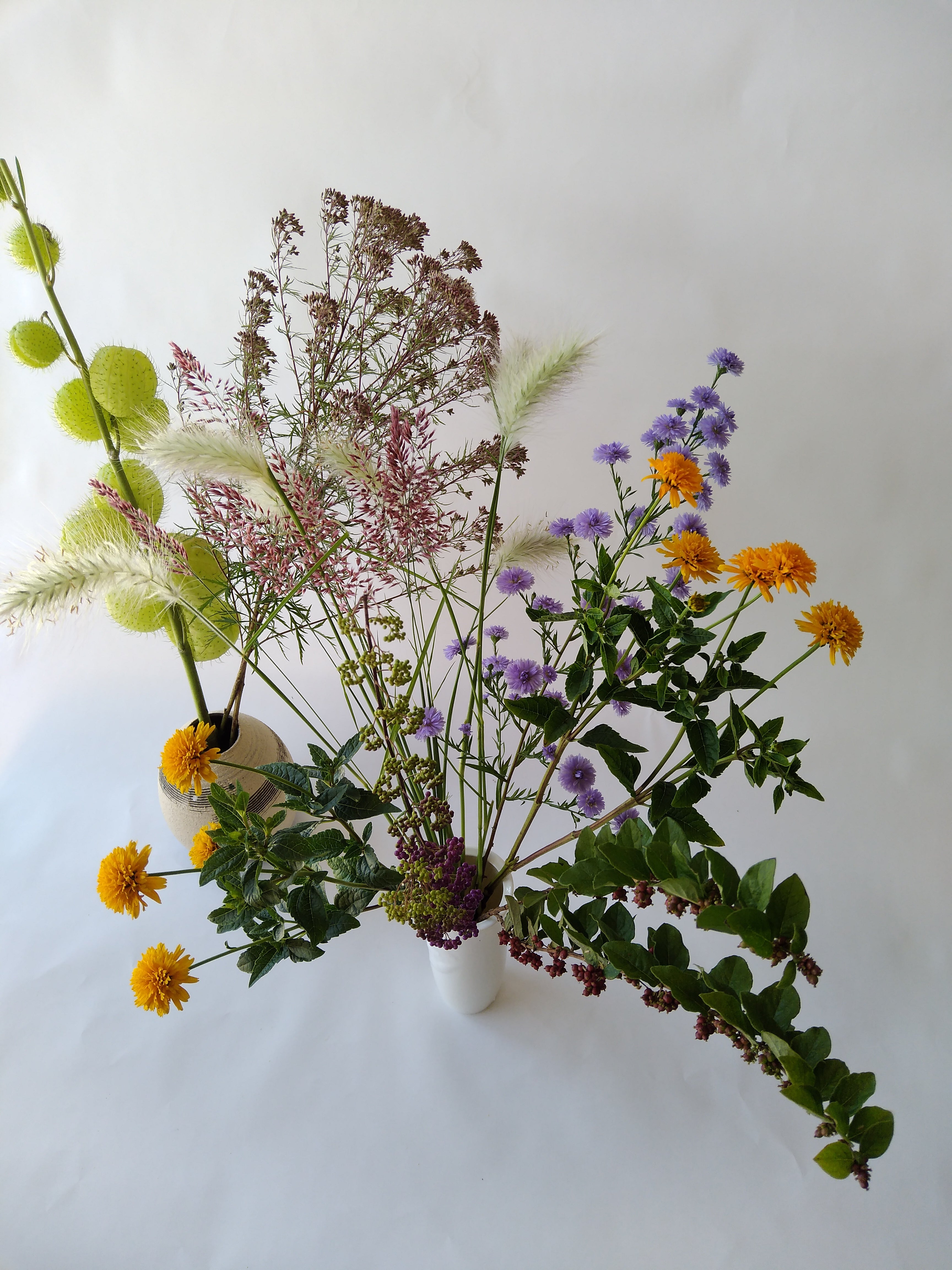 花農家直送 花畑に咲く季節の花を販売｜おのくぼセット｜花処お